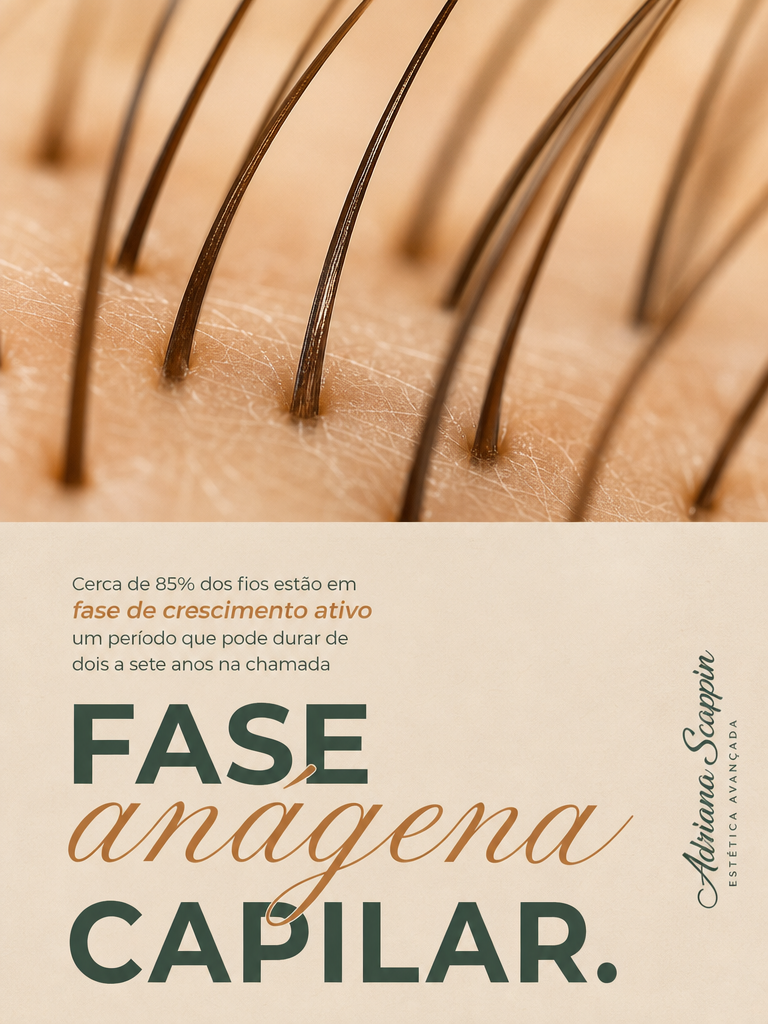 Post: fase anágena capilar